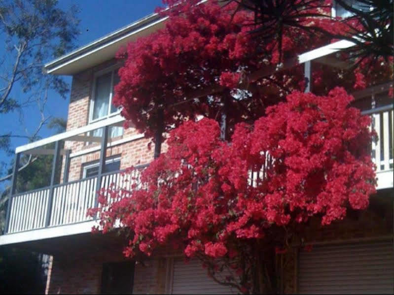 Linley House Bed & Breakfast Сидни Екстериор снимка